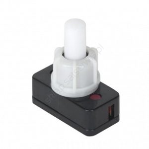 PUSH ON/PUSH OFF 4A 125V AC, 2A 250V AC